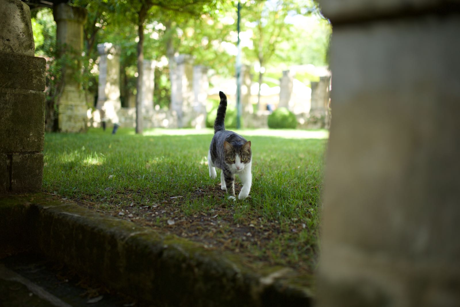 giardini-2