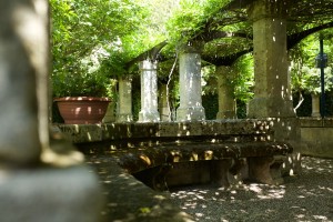 giardino-1   