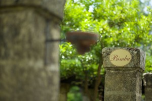 giardino-12    