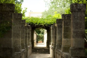 giardino-16        