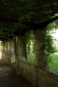 giardino-2    