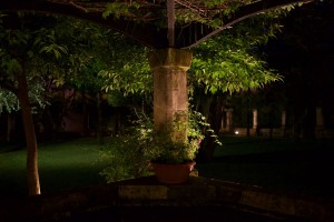 giardino-26       