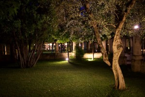 giardino-27       