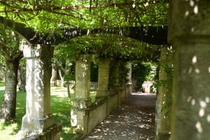 giardino-3    