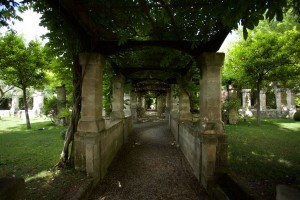giardino-6    