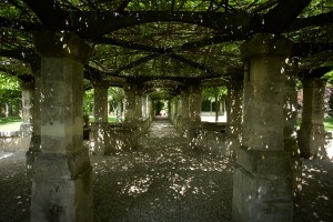 giardino-7    