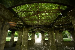 giardino-8    